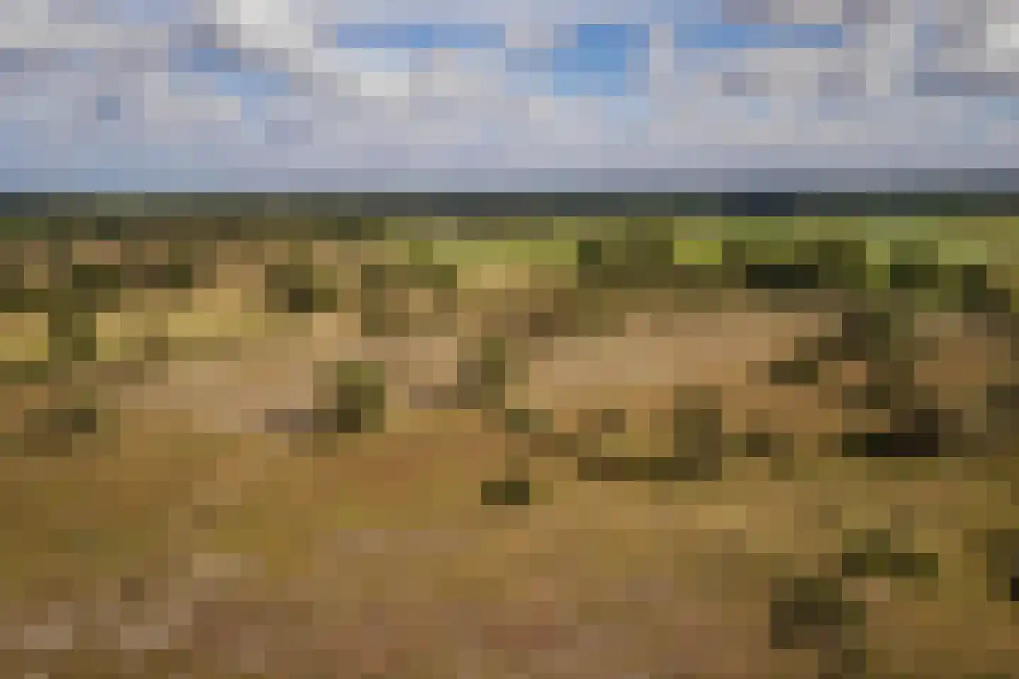 Speelmansweg 13 Heeten thumbnail 18