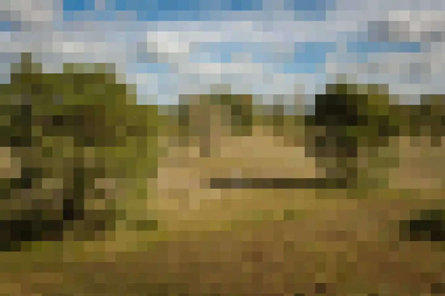 Speelmansweg 13 Heeten thumbnail 19