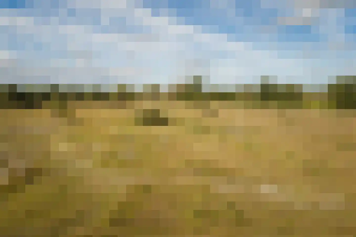 Speelmansweg 13 Heeten thumbnail 20