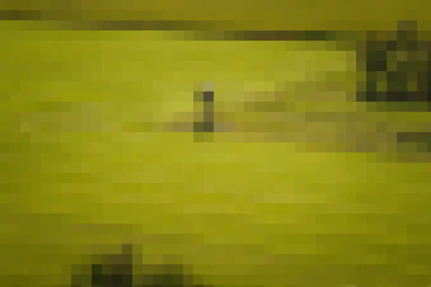 Speelmansweg 13 Heeten thumbnail 21
