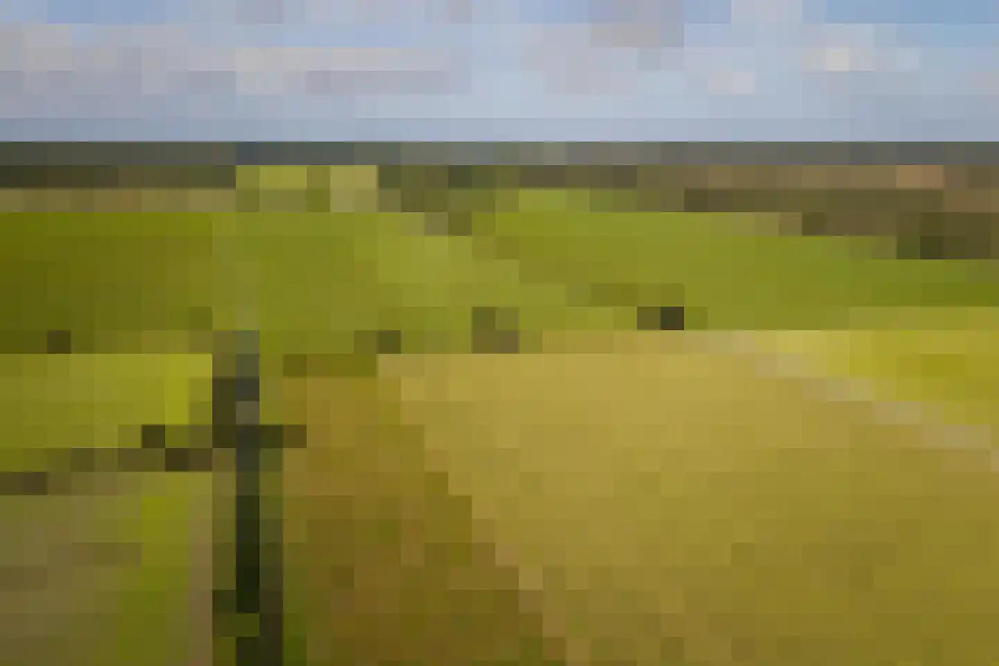 Speelmansweg 13 Heeten thumbnail 22