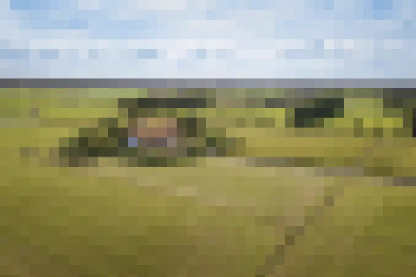 Speelmansweg 13 Heeten thumbnail 24