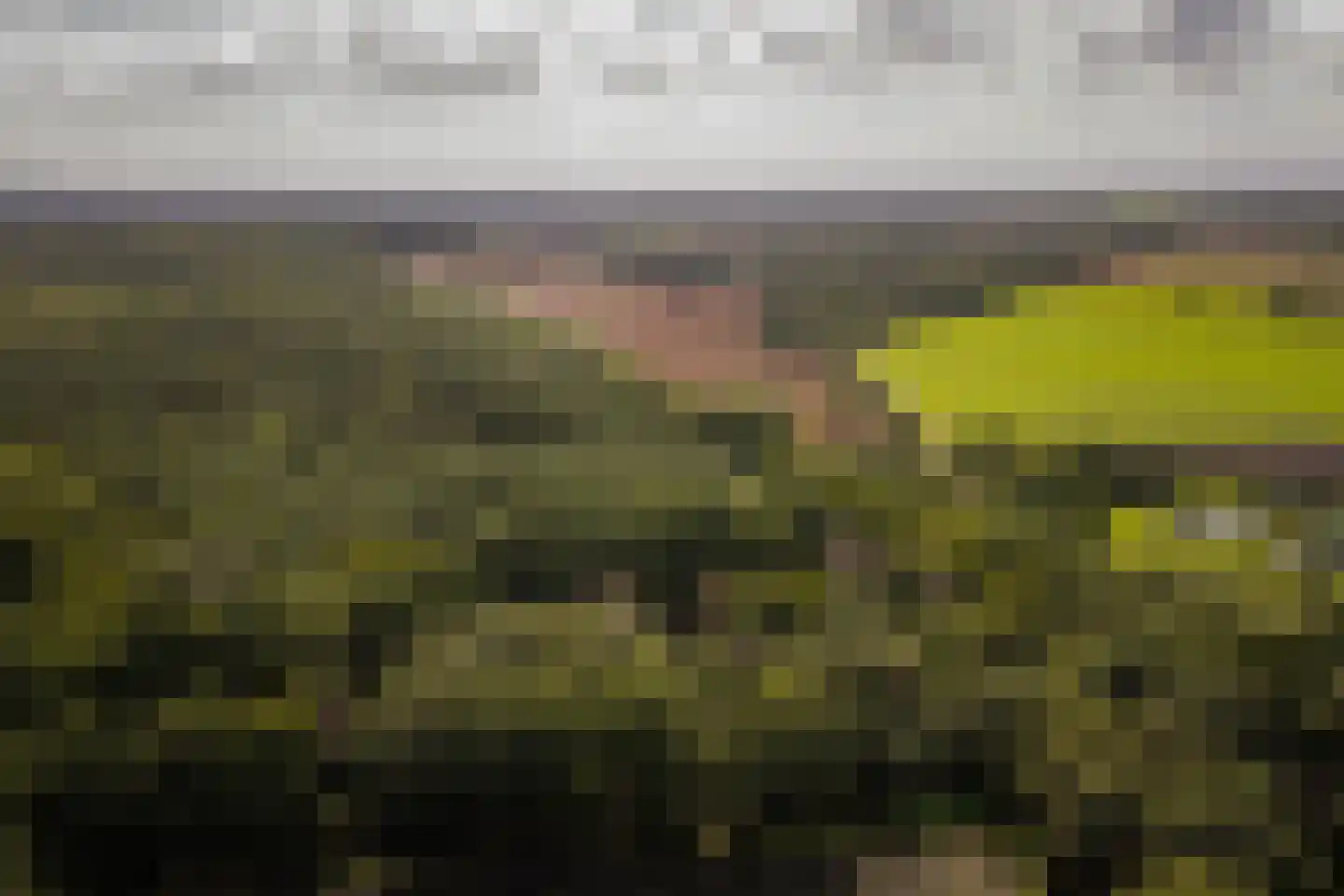 Speelmansweg 13 Heeten thumbnail 26