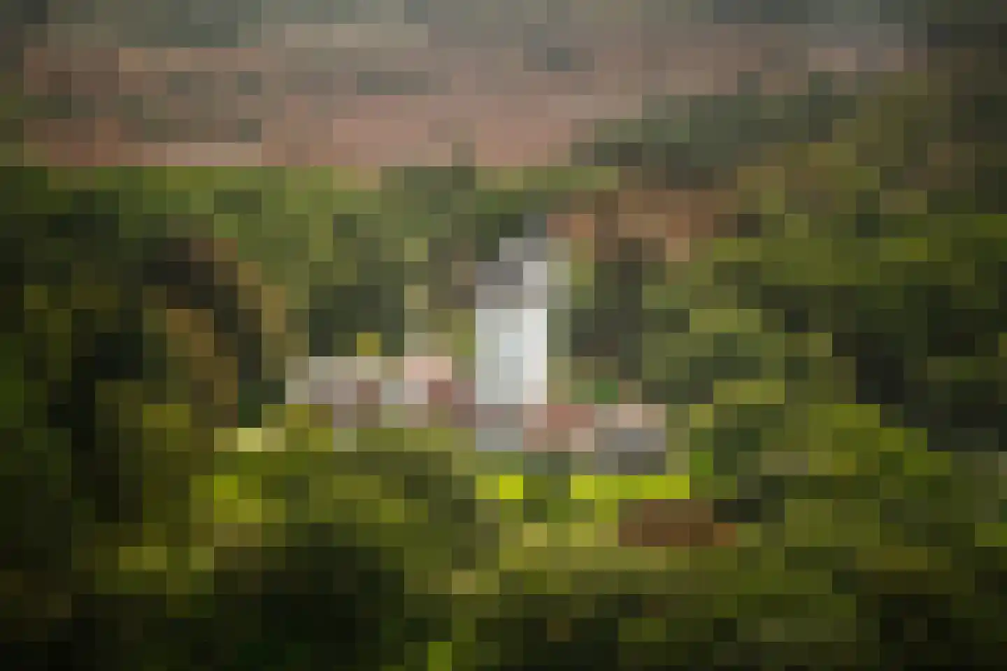 Speelmansweg 13 Heeten thumbnail 28