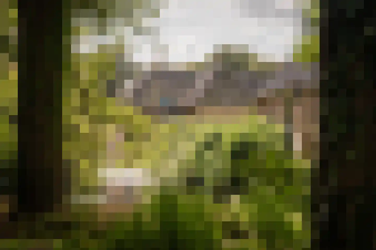 Speelmansweg 13 Heeten thumbnail 30