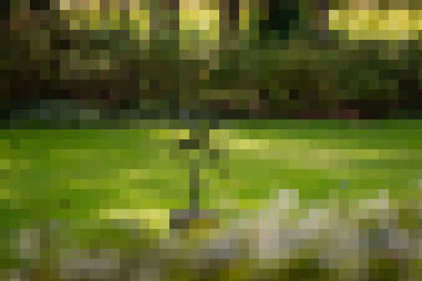Speelmansweg 13 Heeten thumbnail 31