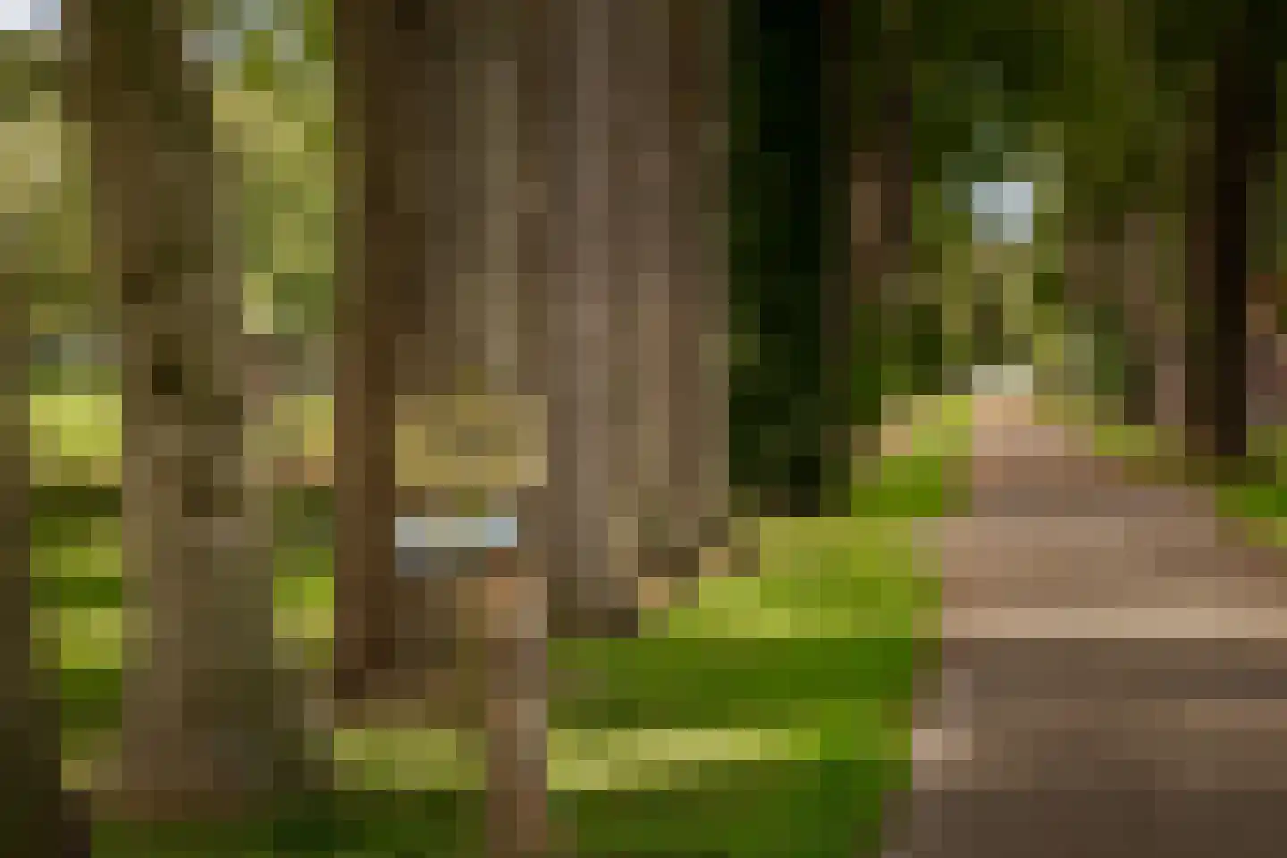 Speelmansweg 13 Heeten thumbnail 33