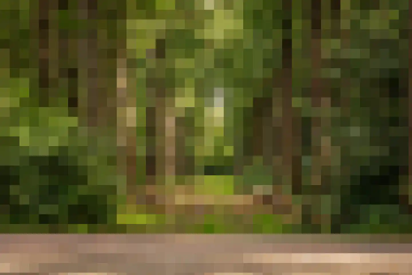 Speelmansweg 13 Heeten thumbnail 34