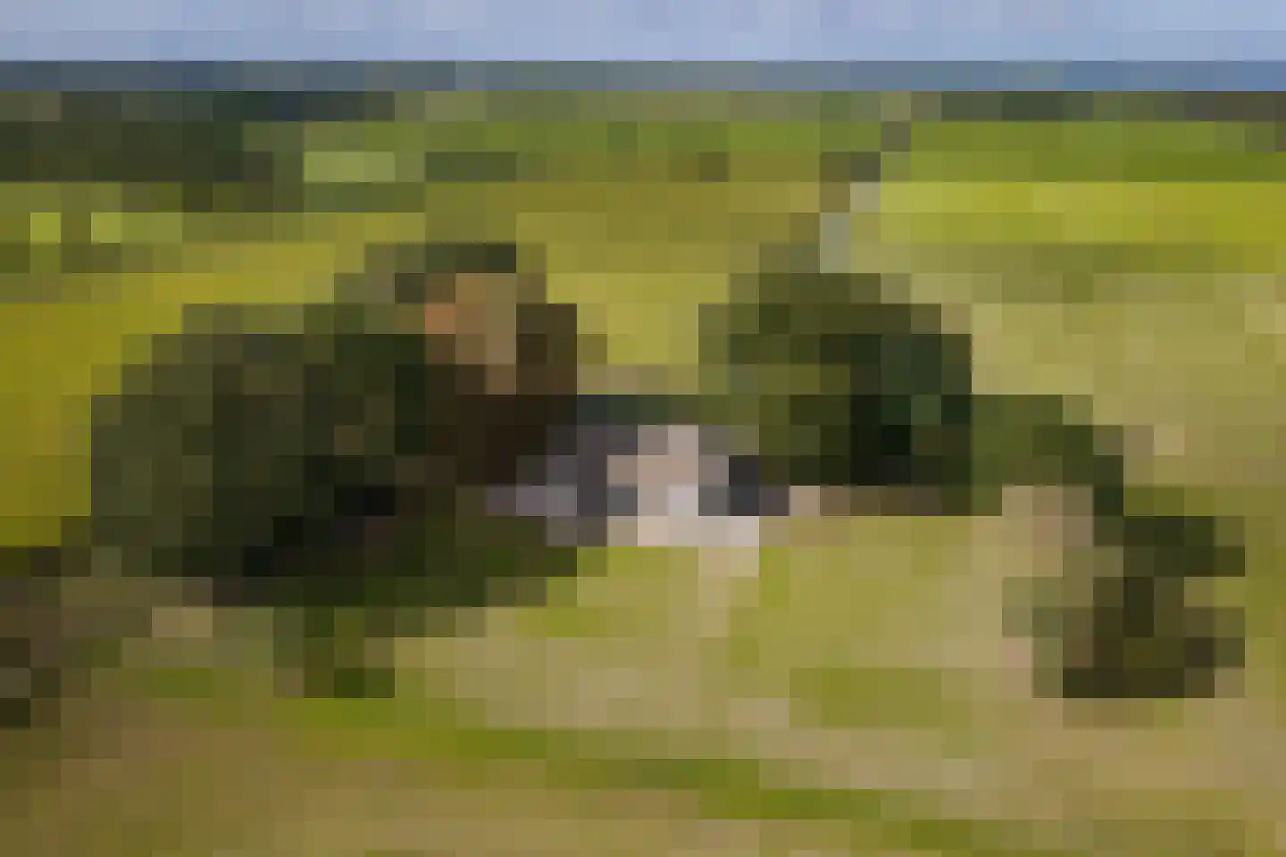Speelmansweg 13 Heeten thumbnail 6