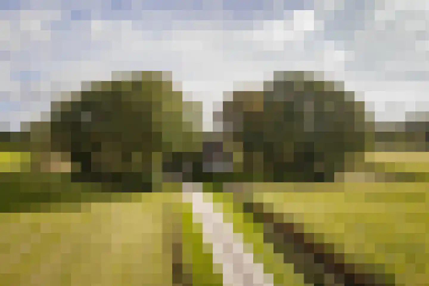 Speelmansweg 13 Heeten thumbnail 7
