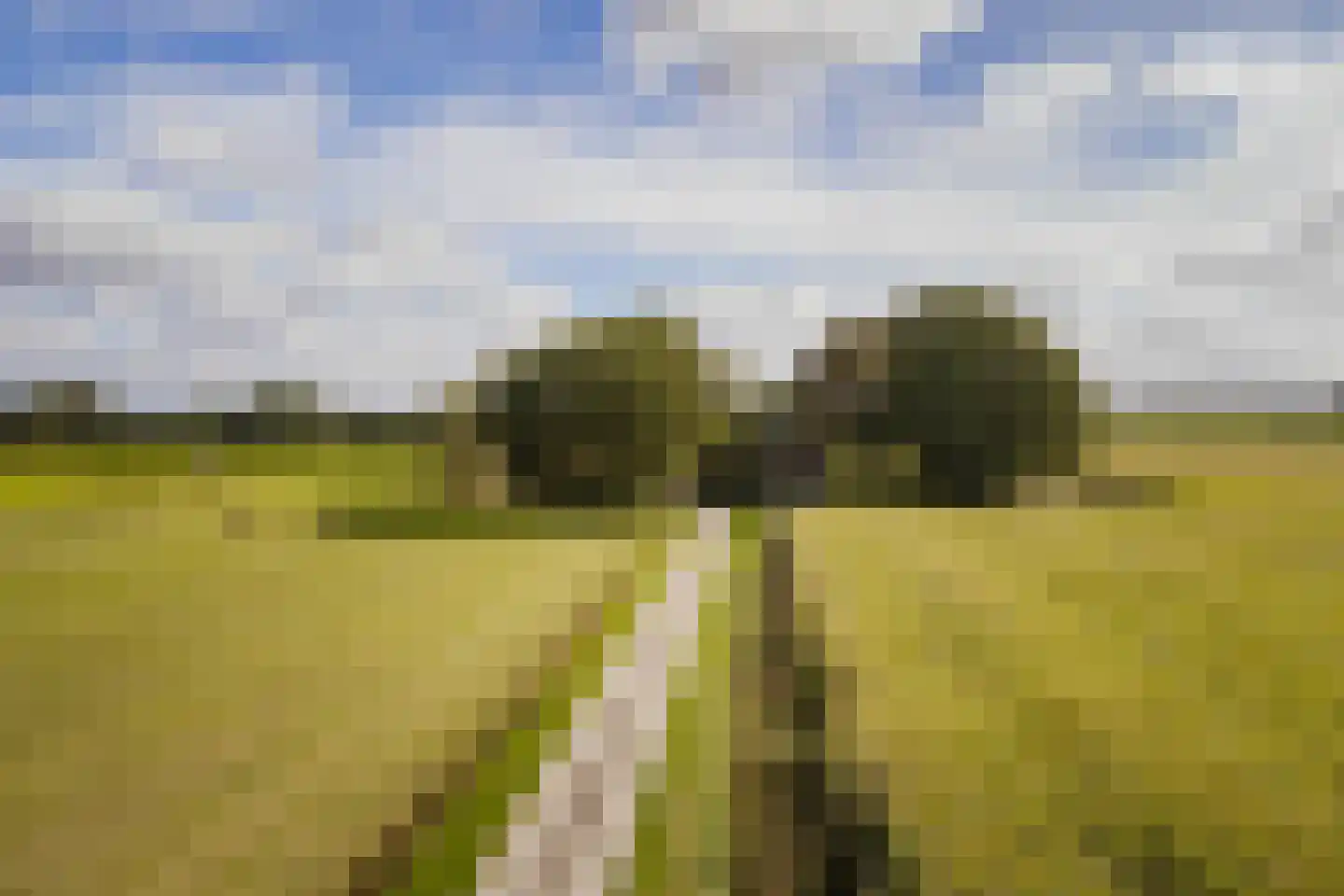 Speelmansweg 13 Heeten thumbnail 8