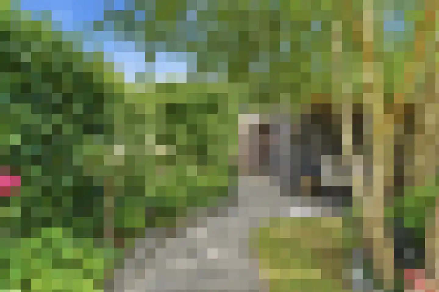 Speeltoren 17 Middelburg thumbnail 19