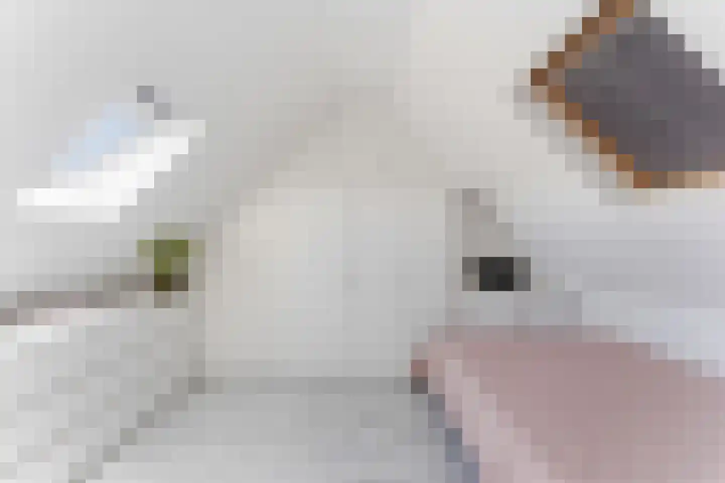 Speeltoren 17 Middelburg thumbnail 40