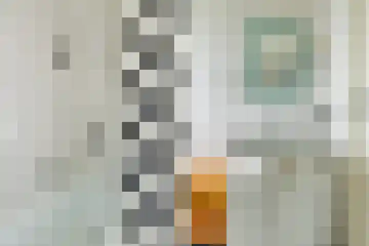 Speeltoren 19 Middelburg thumbnail 31