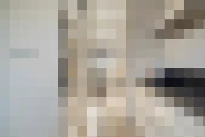 Speeltoren 25 Middelburg thumbnail 10