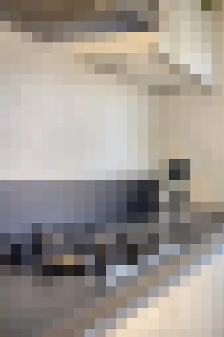 Speeltoren 25 Middelburg thumbnail 13