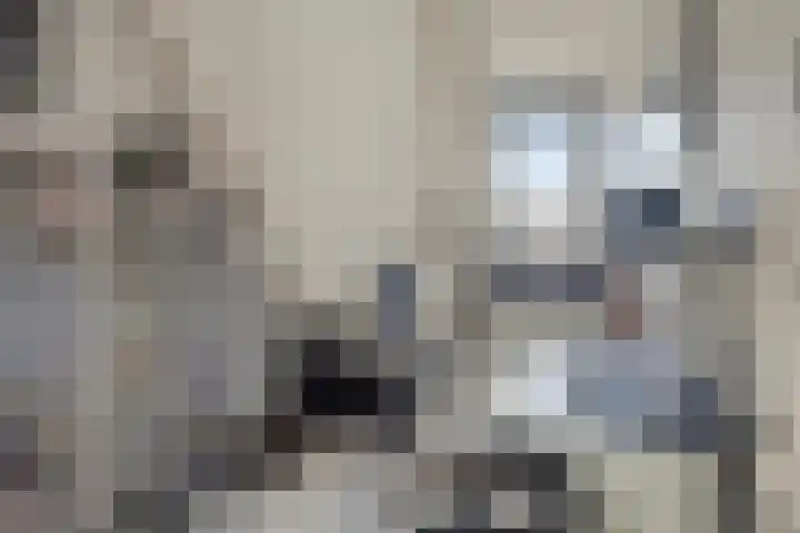 Speeltoren 25 Middelburg thumbnail 24