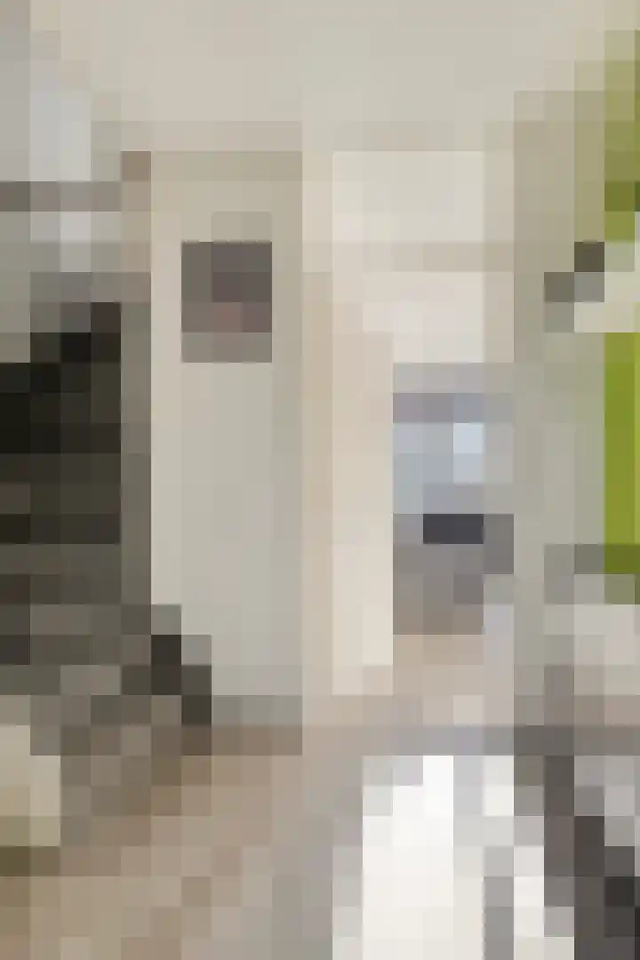Speeltoren 25 Middelburg thumbnail 5