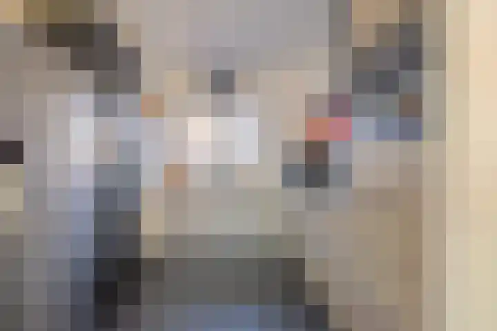 Speeltoren 7 Middelburg thumbnail 16