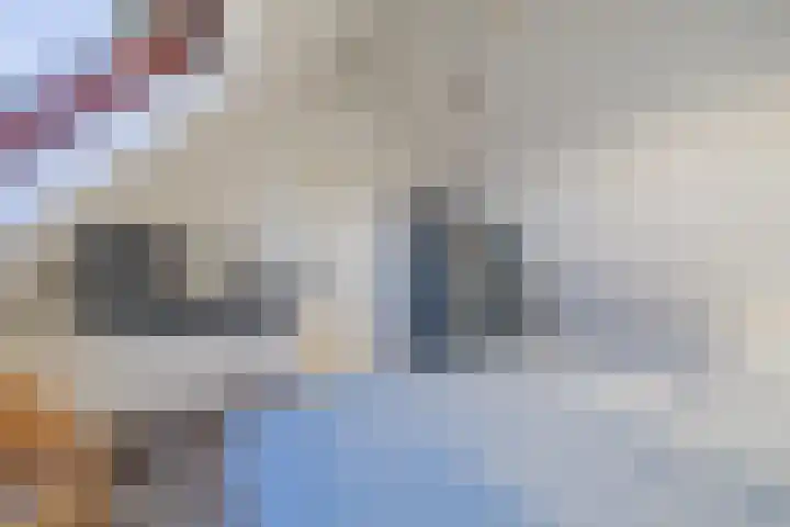 Speeltoren 7 Middelburg thumbnail 40