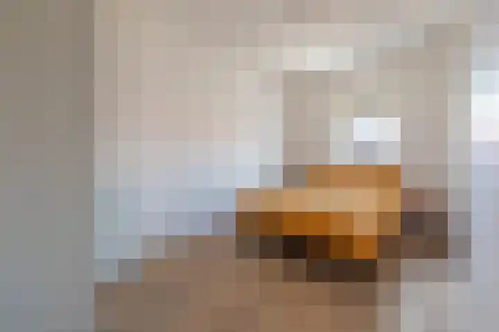 Speeltuinpad 13 Zaandam thumbnail 24