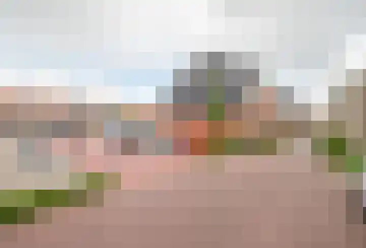 Speeltuinpad 13 Zaandam thumbnail 31