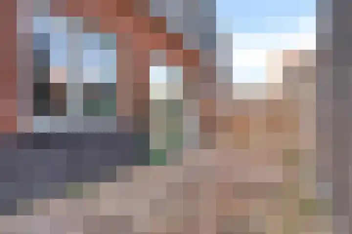 Speeltuinpad 21 Zaandam thumbnail 19