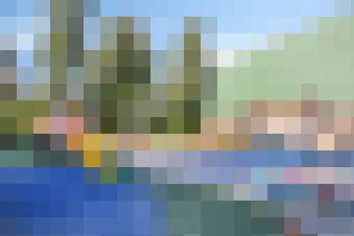 Speeltuinpad 21 Zaandam thumbnail 20