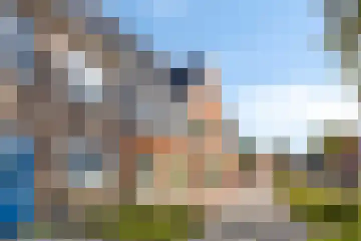 Speeltuinpad 21 Zaandam thumbnail 24