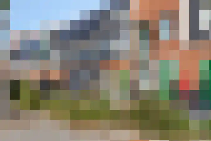 Speeltuinpad 21 Zaandam thumbnail 25