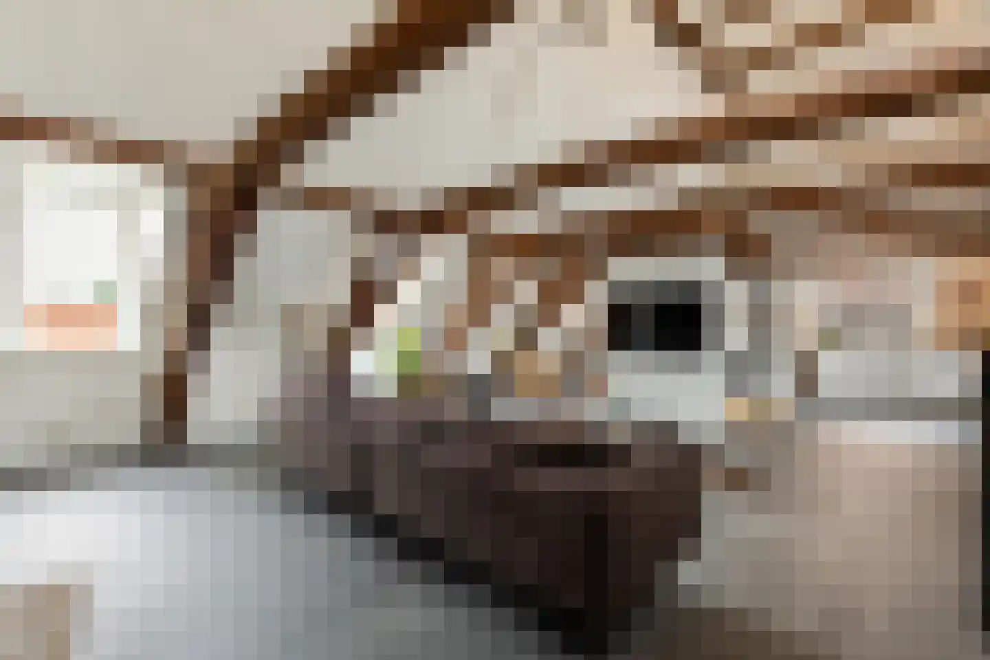 Speeltuinpad 26 Nijkerk thumbnail 10