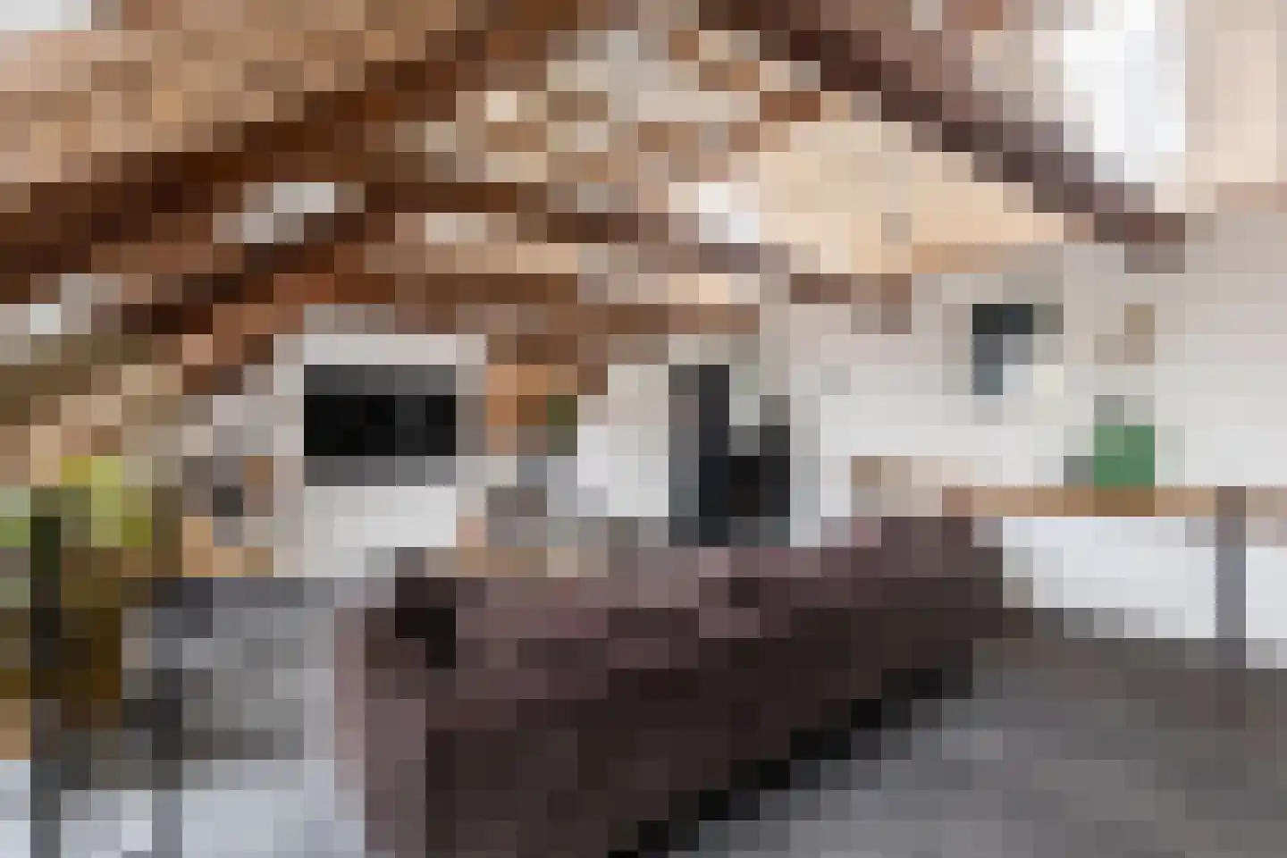 Speeltuinpad 26 Nijkerk thumbnail 13