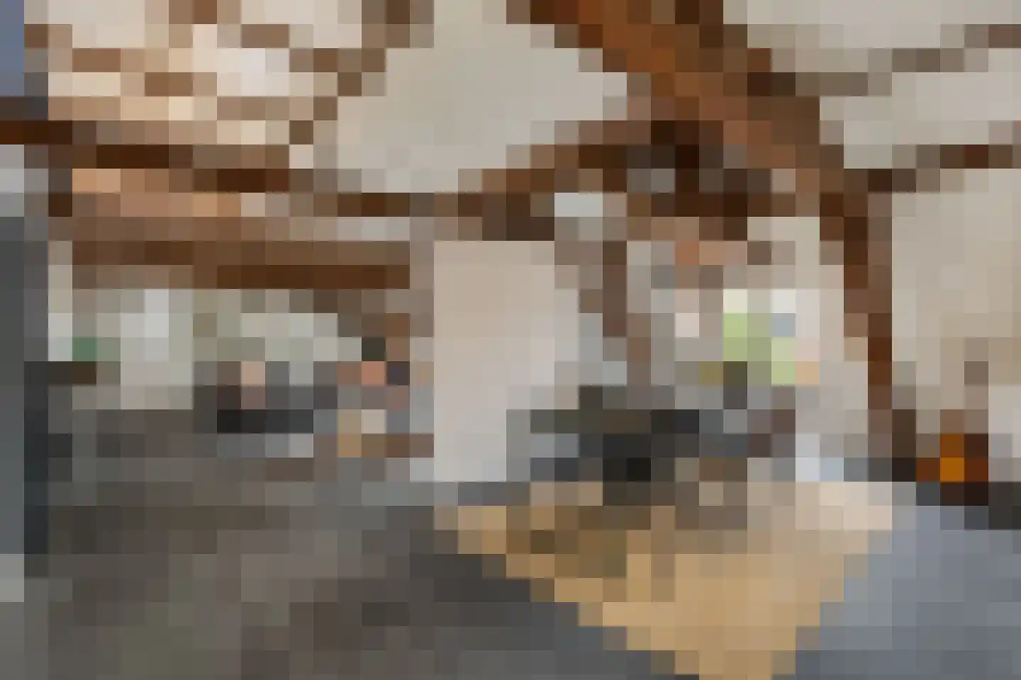 Speeltuinpad 26 Nijkerk thumbnail 15