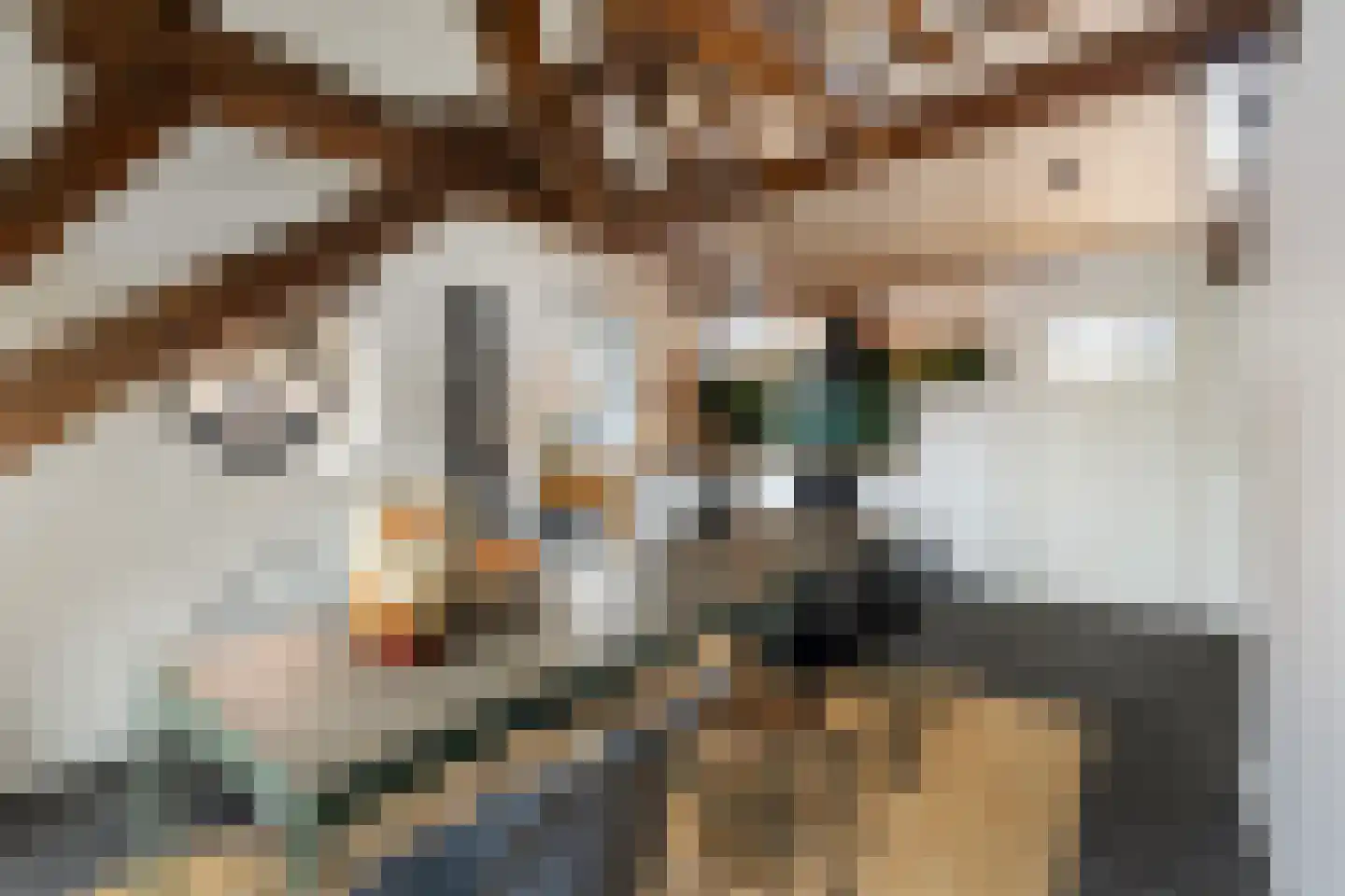 Speeltuinpad 26 Nijkerk thumbnail 16
