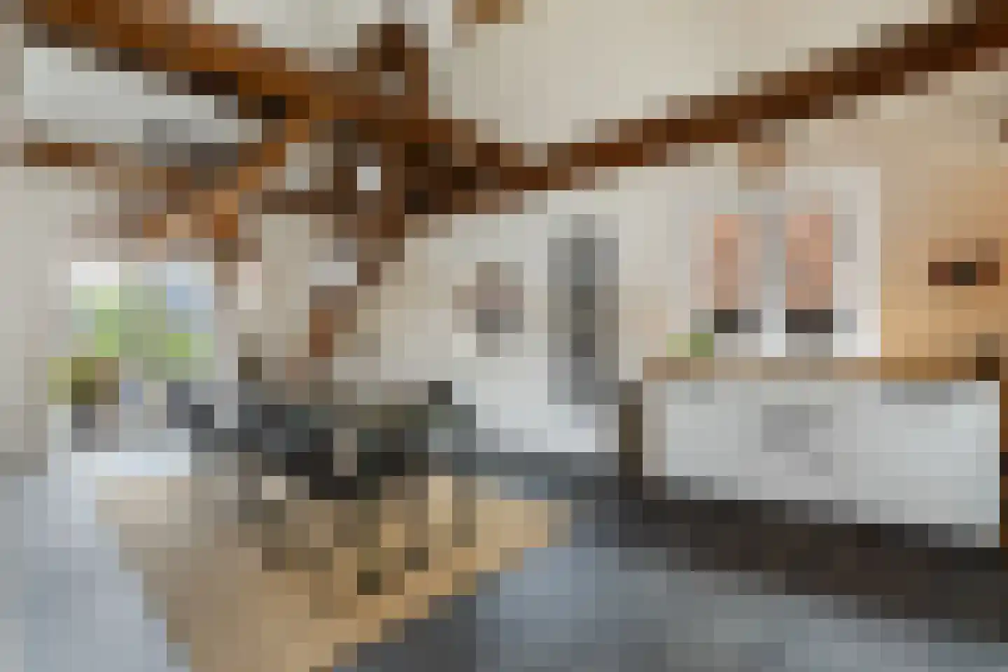 Speeltuinpad 26 Nijkerk thumbnail 18