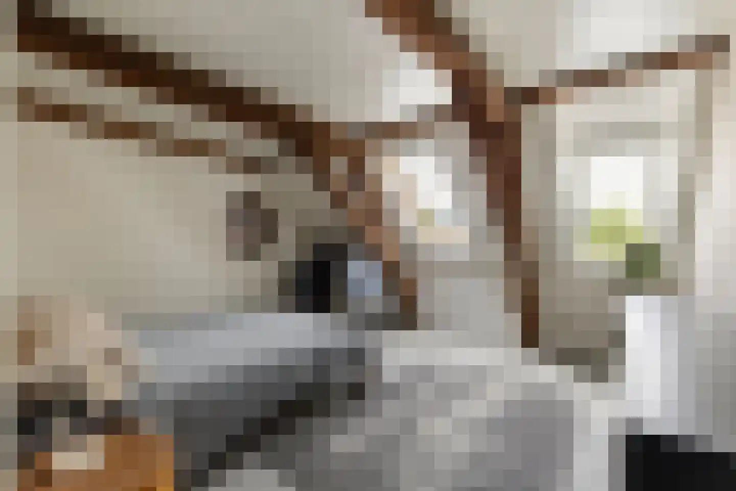 Speeltuinpad 26 Nijkerk thumbnail 24