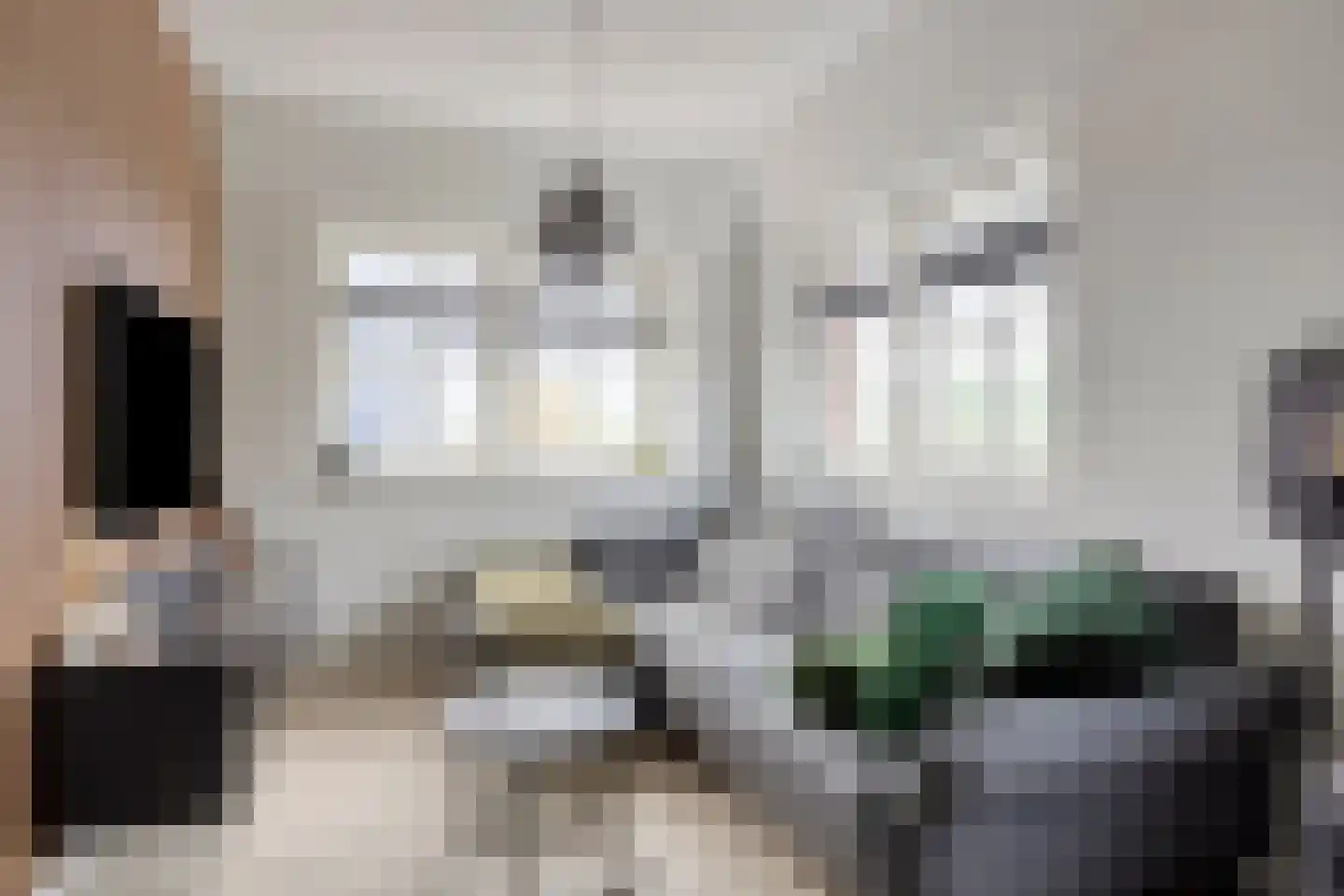Speeltuinpad 3 Zaandam thumbnail 8