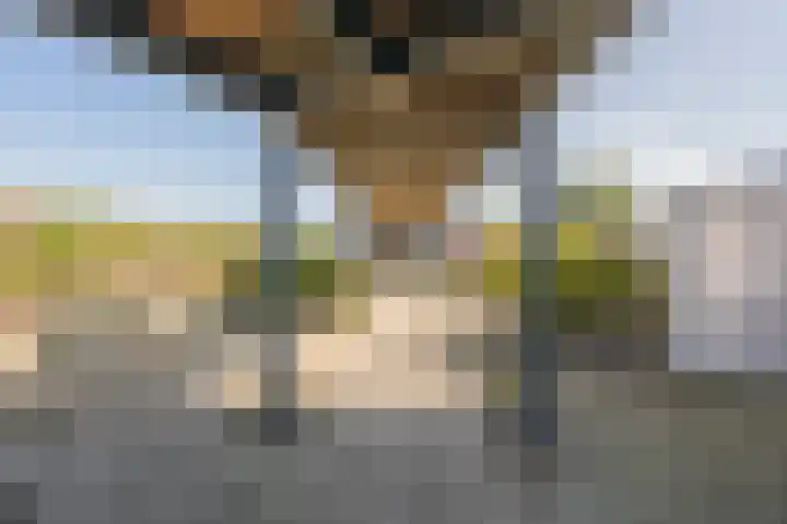 Speeltuinpad 4 Nijkerk thumbnail 13
