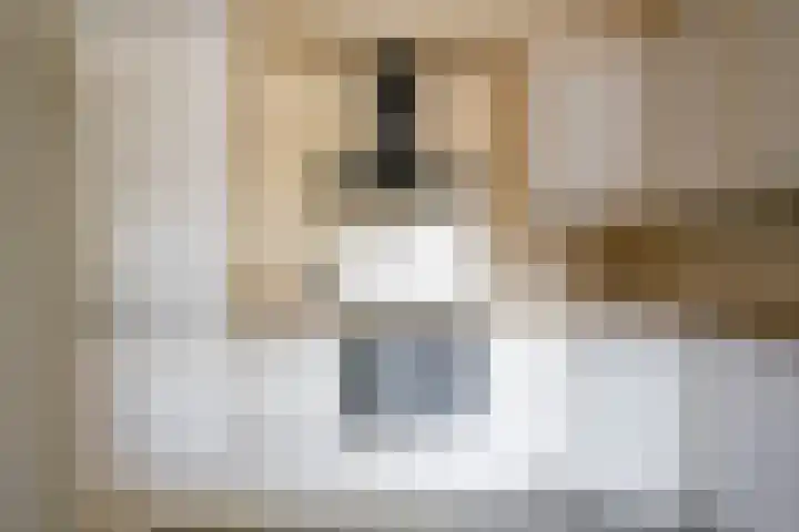 Speeltuinpad 4 Nijkerk thumbnail 21