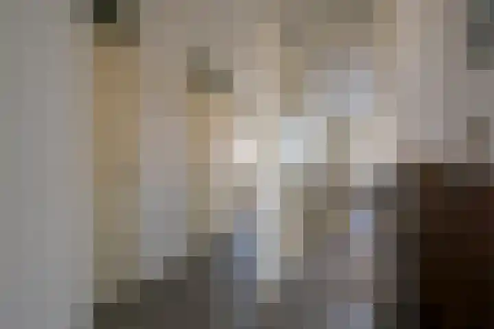 Speeltuinpad 4 Nijkerk thumbnail 22