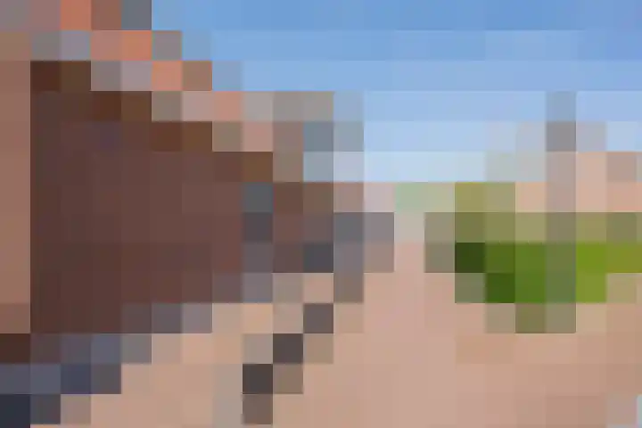 Speeltuinpad 4 Nijkerk thumbnail 32