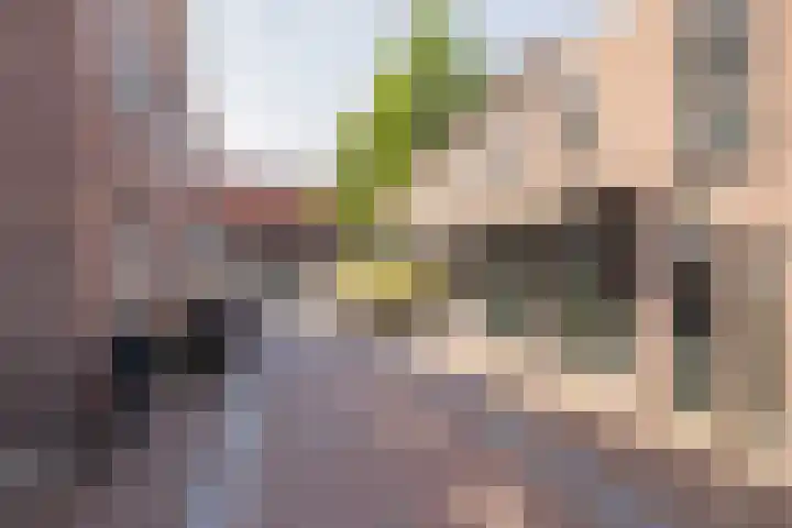 Speeltuinpad 4 Nijkerk thumbnail 33