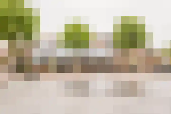 Speeltuinpad 4 Nijkerk thumbnail 36