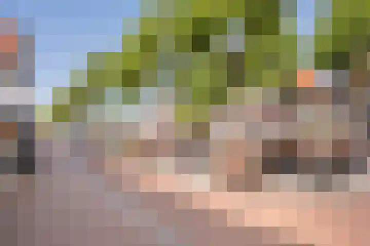 Speeltuinpad 4 Nijkerk thumbnail 4