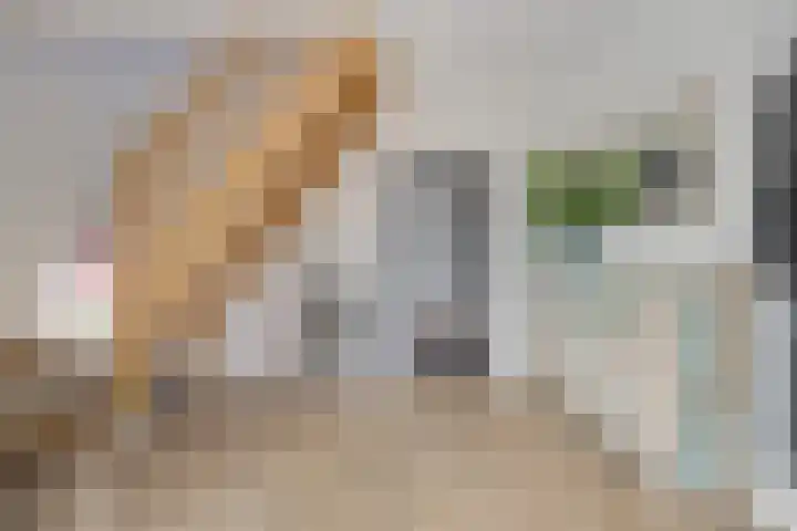 Speelveld 17 Etten-Leur thumbnail 7