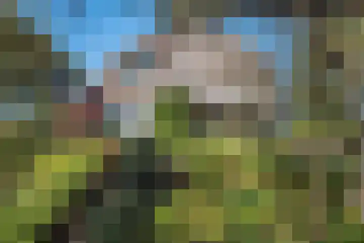Speelveld 19 Etten-Leur thumbnail 18