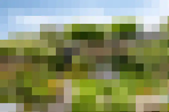 Speelveld 19 Etten-Leur thumbnail 24