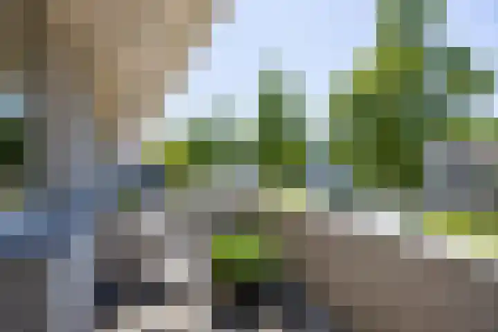 Speelveld 19 Etten-Leur thumbnail 37