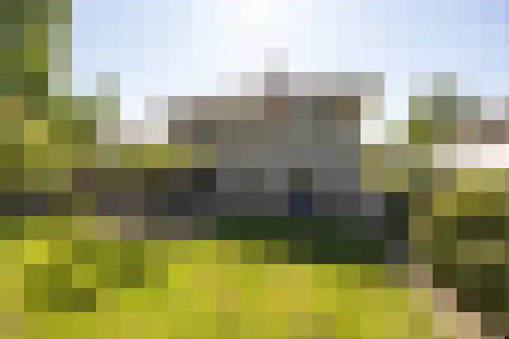 Speelveld 19 Etten-Leur thumbnail 4