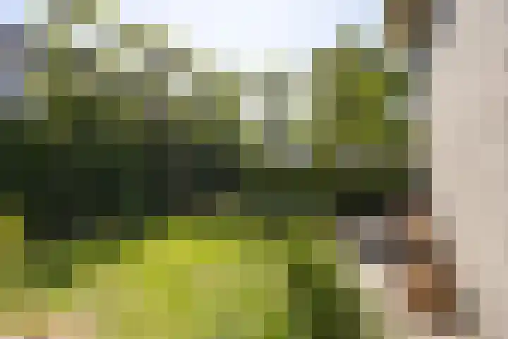 Speelveld 19 Etten-Leur thumbnail 44